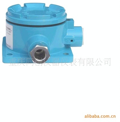 【一体化HART温度变送器】价格,厂家,图片,,重庆同创仪器仪表-